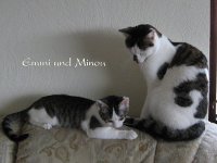 Emmi und Minou